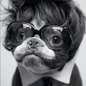 Meet your Posher, Robin